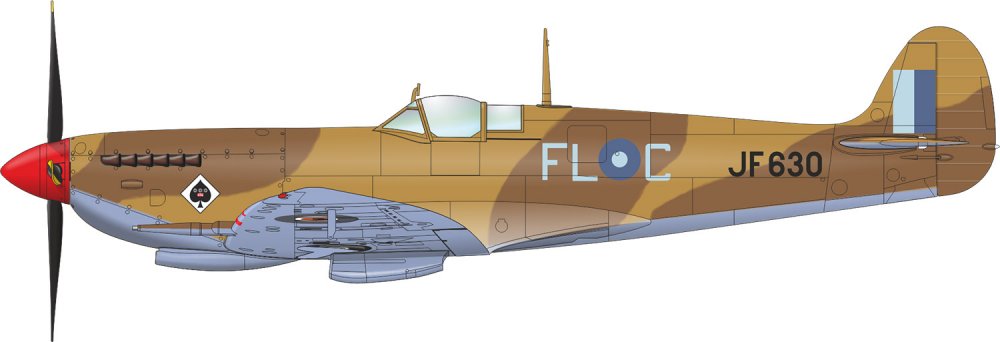 8287_Spitfire-Mk.VIII_COL_2.jpg