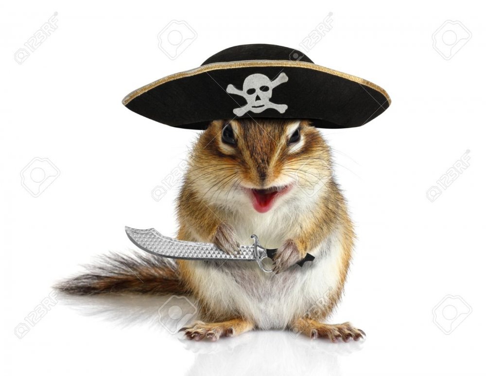 1056003353_45814957-pirate-drole-d-animal-ecureuil-avec-chapeau-et-sabre-sur-blanc.thumb.jpg.3daf0ff84a46cb2720ae835dffed503b.jpg