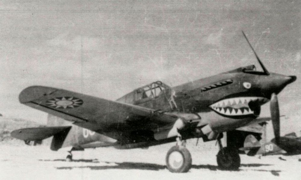 Curtiss P-40 Flying Tigers 0017.jpg