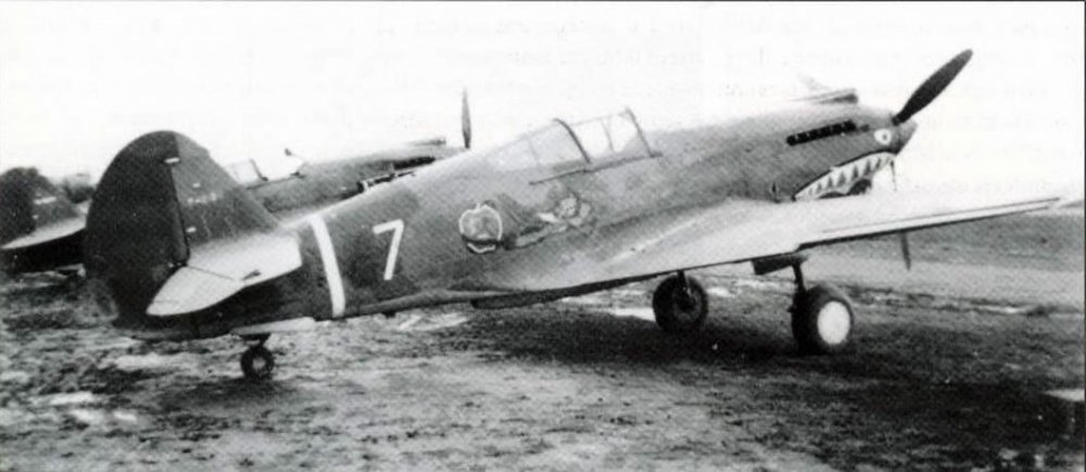 Curtiss-Hawk-81A-23FG1PS-W7-P-8194-Robert-Neale-China-1942-01.thumb.jpg.3f563a44ff5624e3c57440ededd61cee.jpg