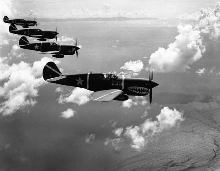 Curtiss-P-40F-Warhawk-347FG68FS-W209-Guadalcanal-1943-01.jpg.044820779615ad44dbeb70e736404969.jpg