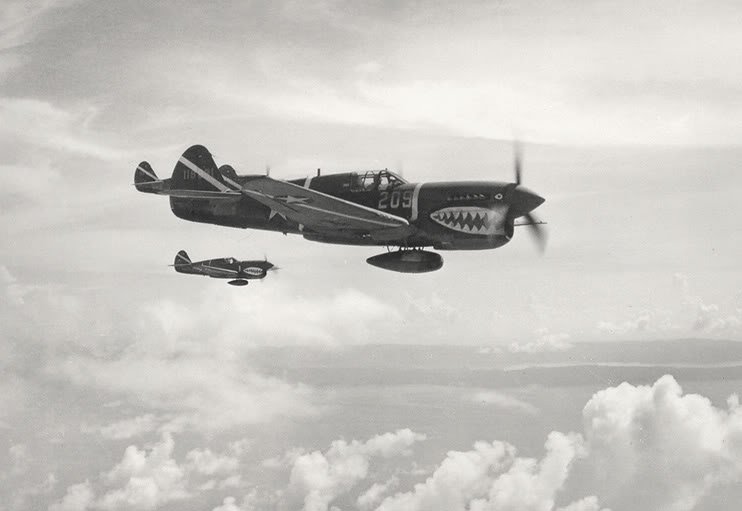 Curtiss-P-40F-Warhawk-347FG68FS-W209-Guadalcanal-1943-02.jpg.03b3be4ed28eebf521e4070f7a3ec23f.jpg