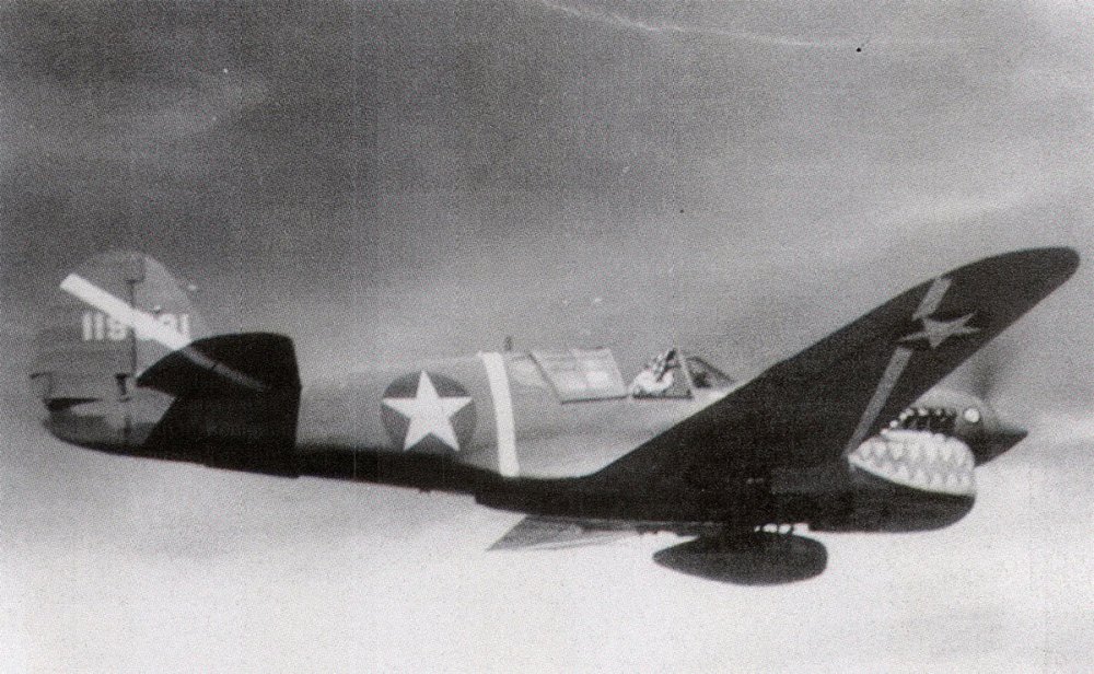 Curtiss-P-40F-Warhawk-347FG68FS-W209-Shuler-Guadalcanal-Apr-1943-01.thumb.jpg.28da1d2670e5f52fcced4f2600291957.jpg