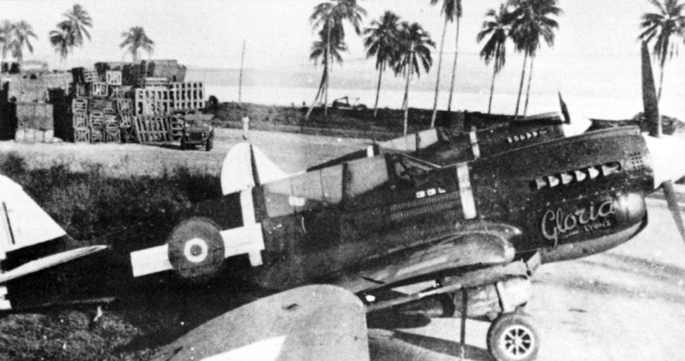 Curtiss-P-40N-Kittyhawk-RNZAF-18Sqn-G-NZ3220-Bougainville-1944-01.jpg