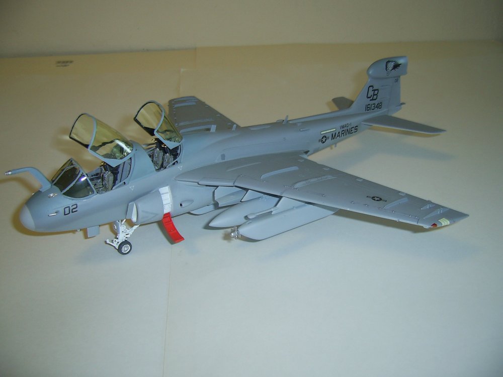 EA6B-VMAQ1-1.JPG