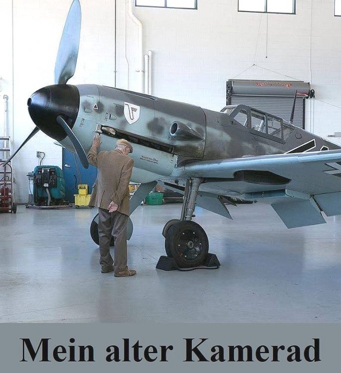 Messerschmitt-Bf109G6-Kamerad_n.jpg