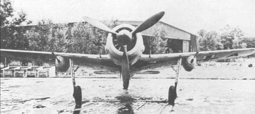 fw190a51.jpg