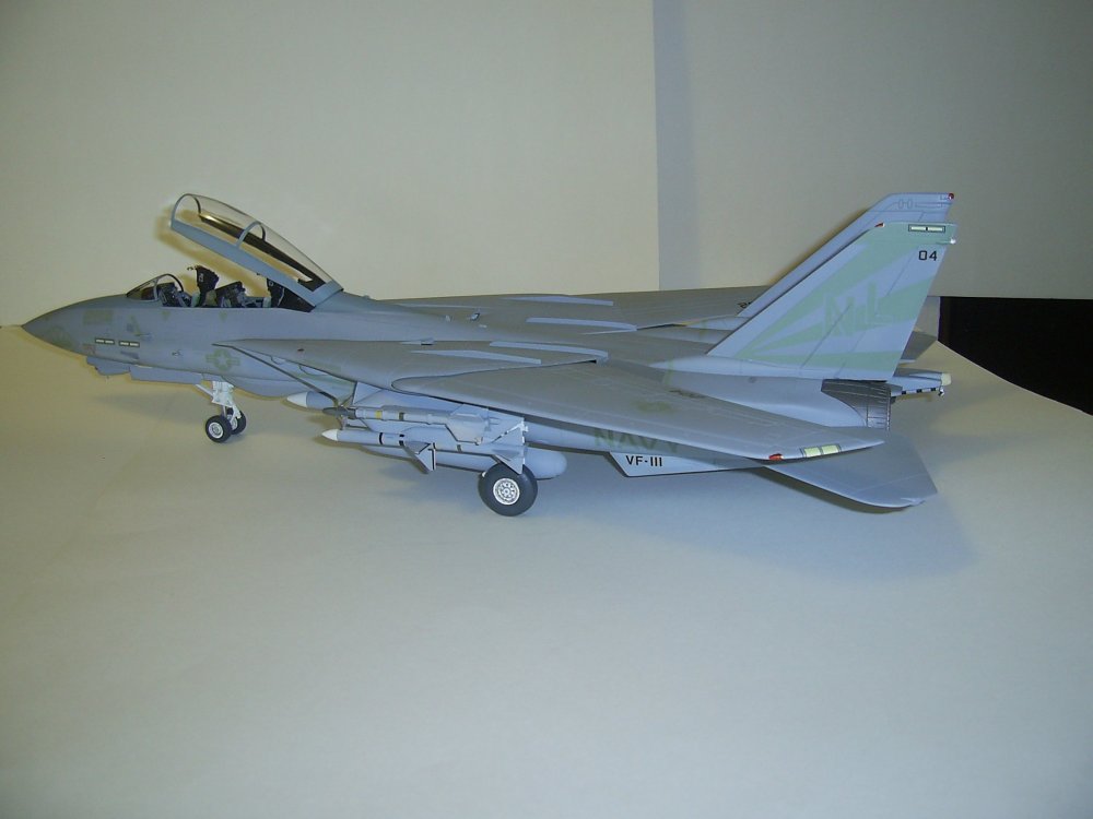 F14A-VF111-2.JPG