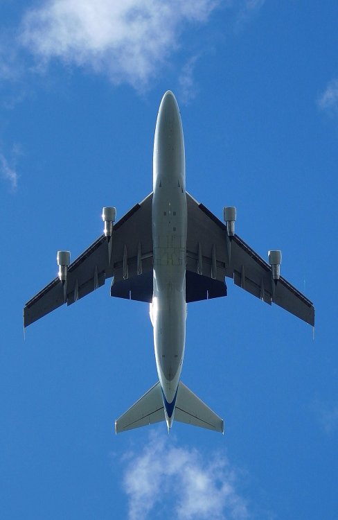 1000px-Shuttle_Carrier_Aircraft_planform.jpeg