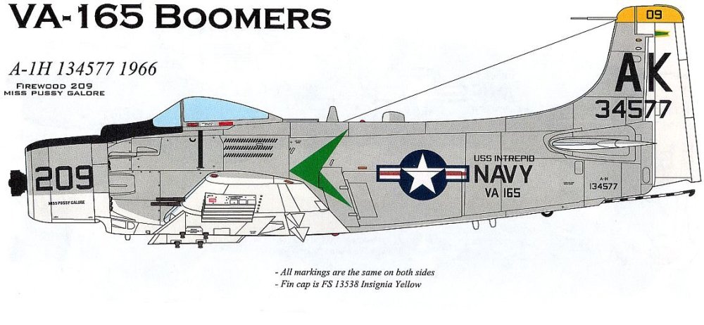 VA-165 Boomers.jpg