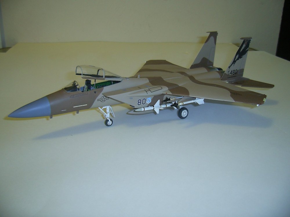 F15C-78480-1.JPG