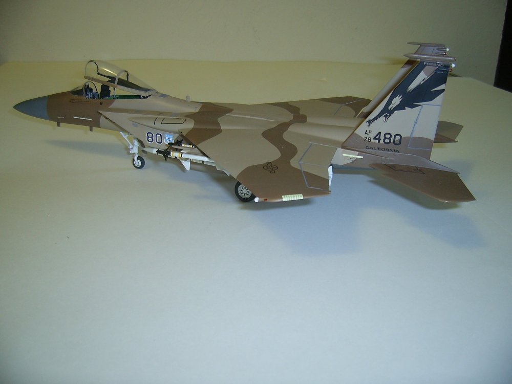 F15C-78480-2.JPG