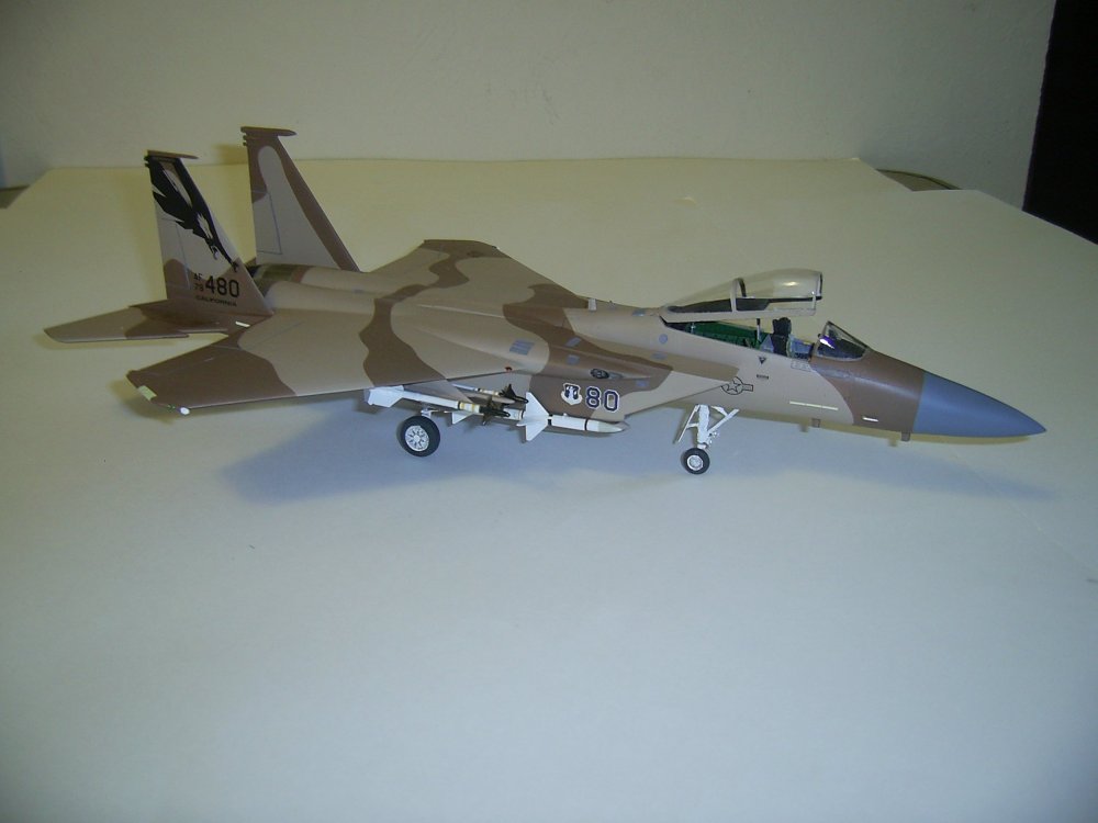 F15C-78480-4.JPG