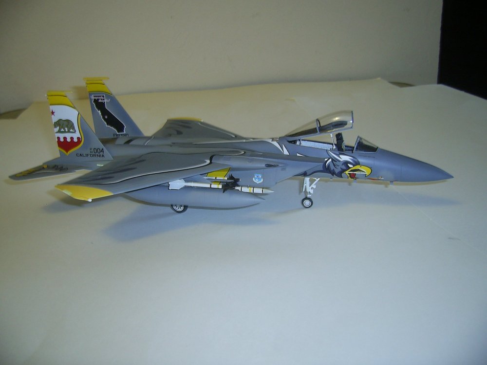 F15C-84004-4.JPG