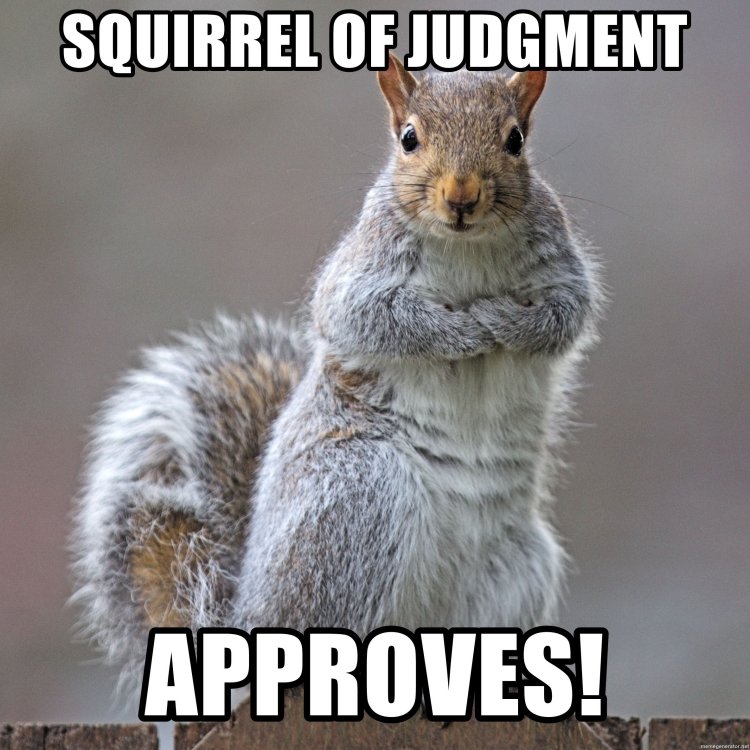squirrel-of-judgment-approves.jpeg