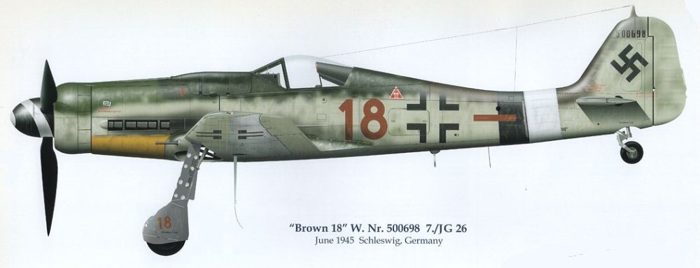 FW-190D-9 Brown 18.jpg