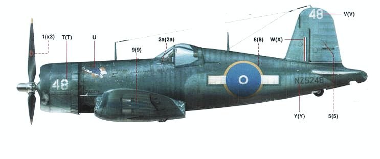 RNZAF F4U-1A-1.jpg