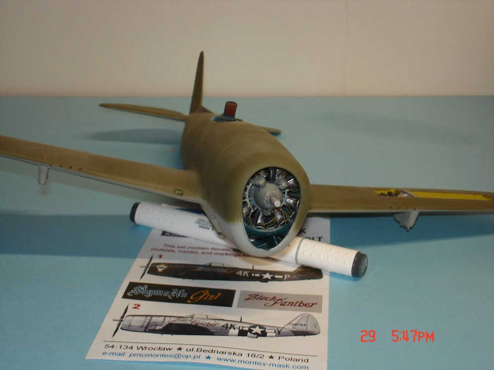 P-47 002.JPG