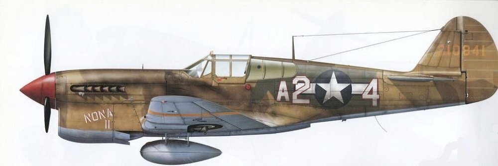 P-40L.jpg