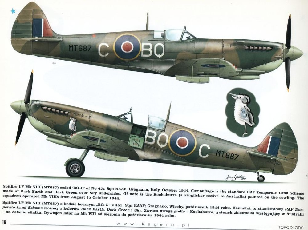 Spitfire Mk VIII 9-5-23.jpg