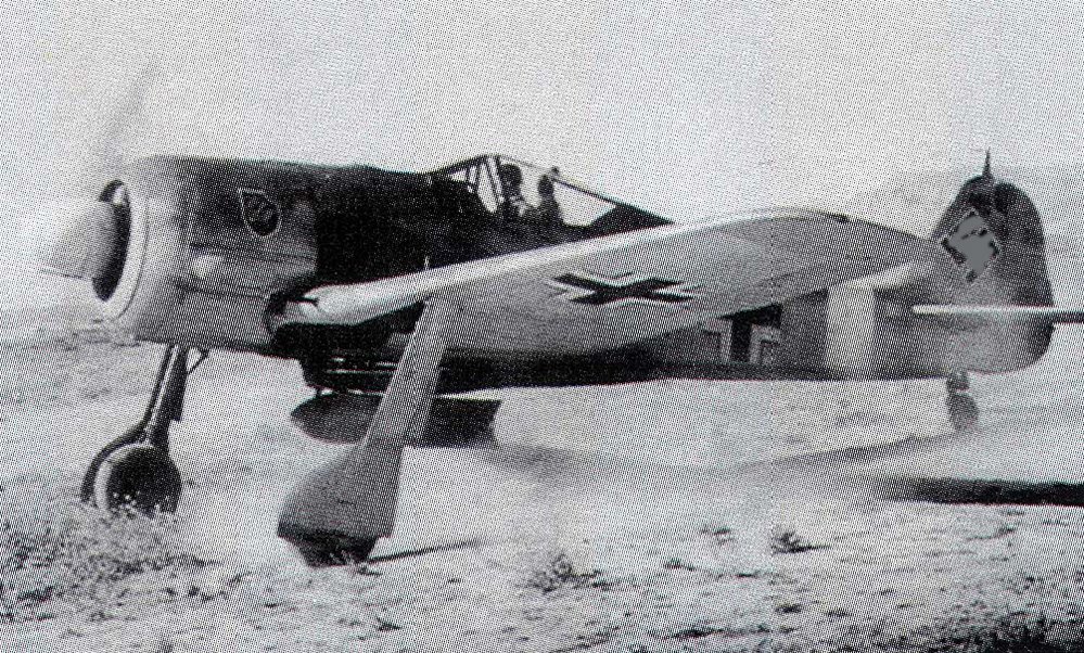 Focke-Wulf-Fw-190A-Stab-III.SKG10-Fritz-Schroter-Bizerta-Tunisia-1943-fs15.jpg.9682ad3e8d6e3a7f29fe6c9aa2dfa9b5.jpg