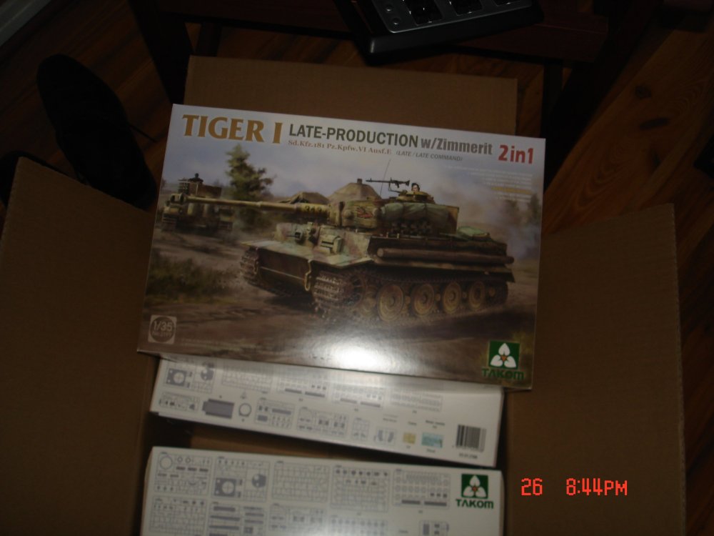 Tiger 002.JPG