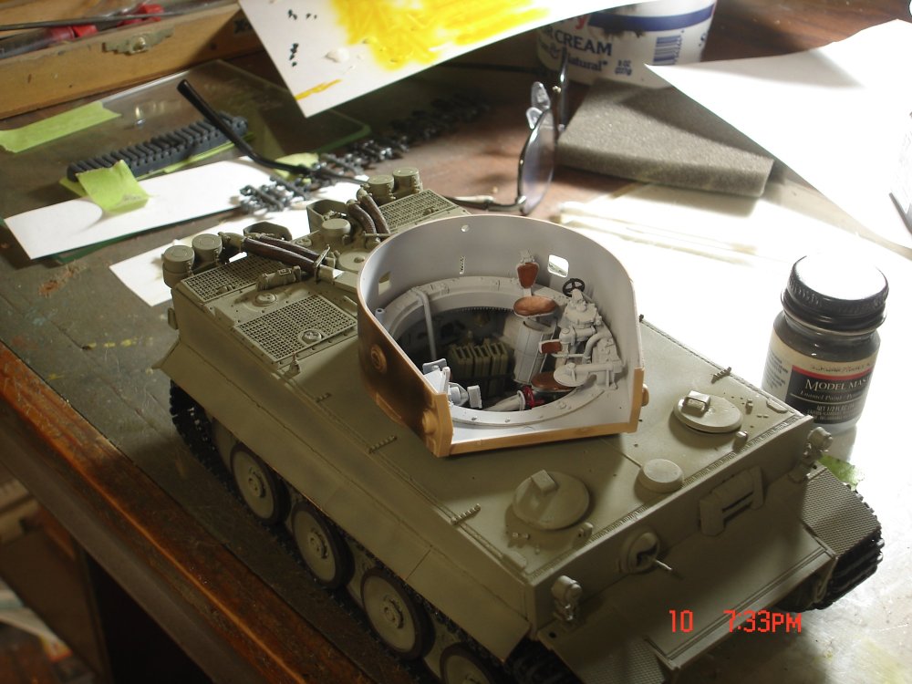 Tiger 005.JPG