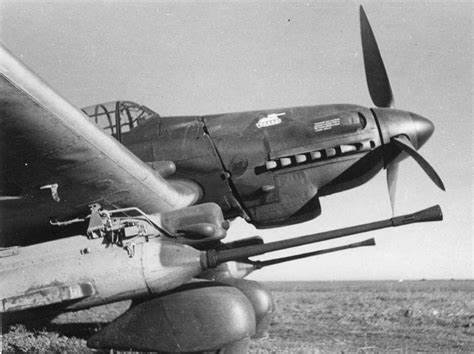 Stuka1.jpg.8ac784f374ed056d0cbfc5e153912083.jpg