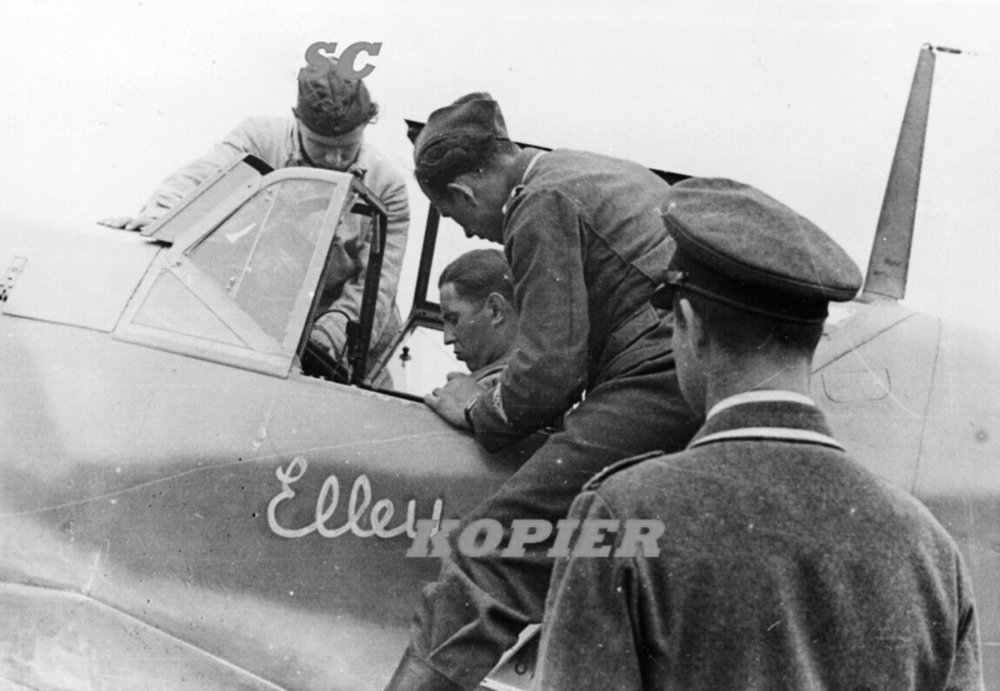 Messerschmitt-Bf-109F4-9.JG3-Yellow-7-Viktor-Bauer-WNr-13325-Stalingrad-1942-ebay1.jpg