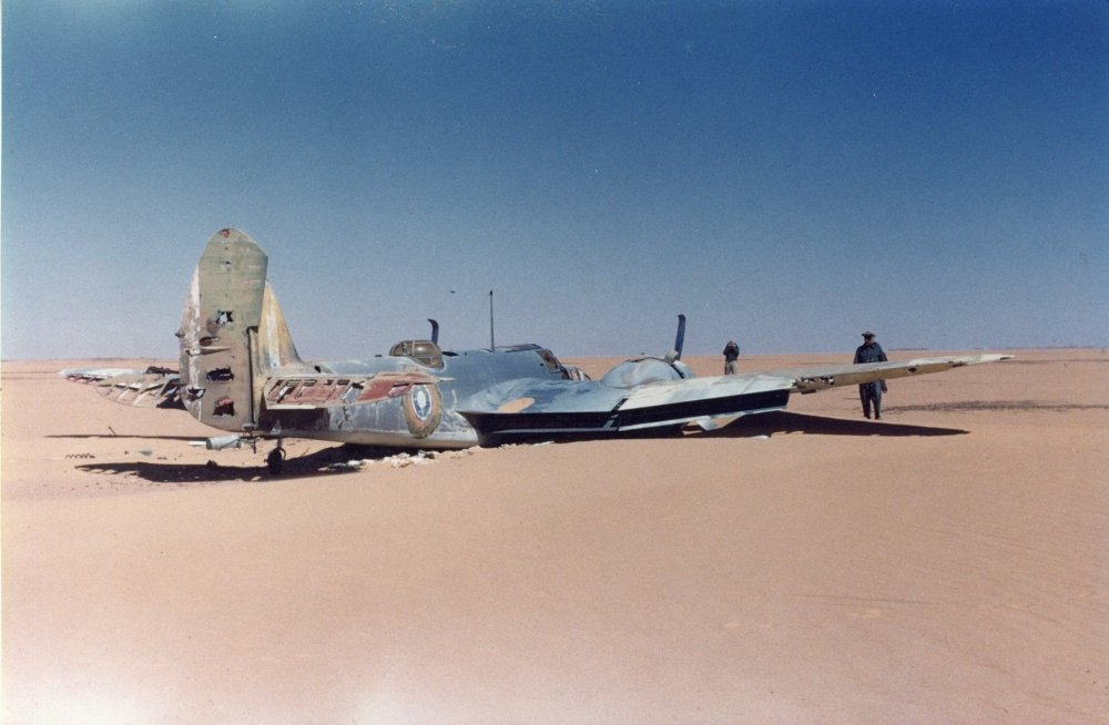 Desert Blenheim 2.jpg