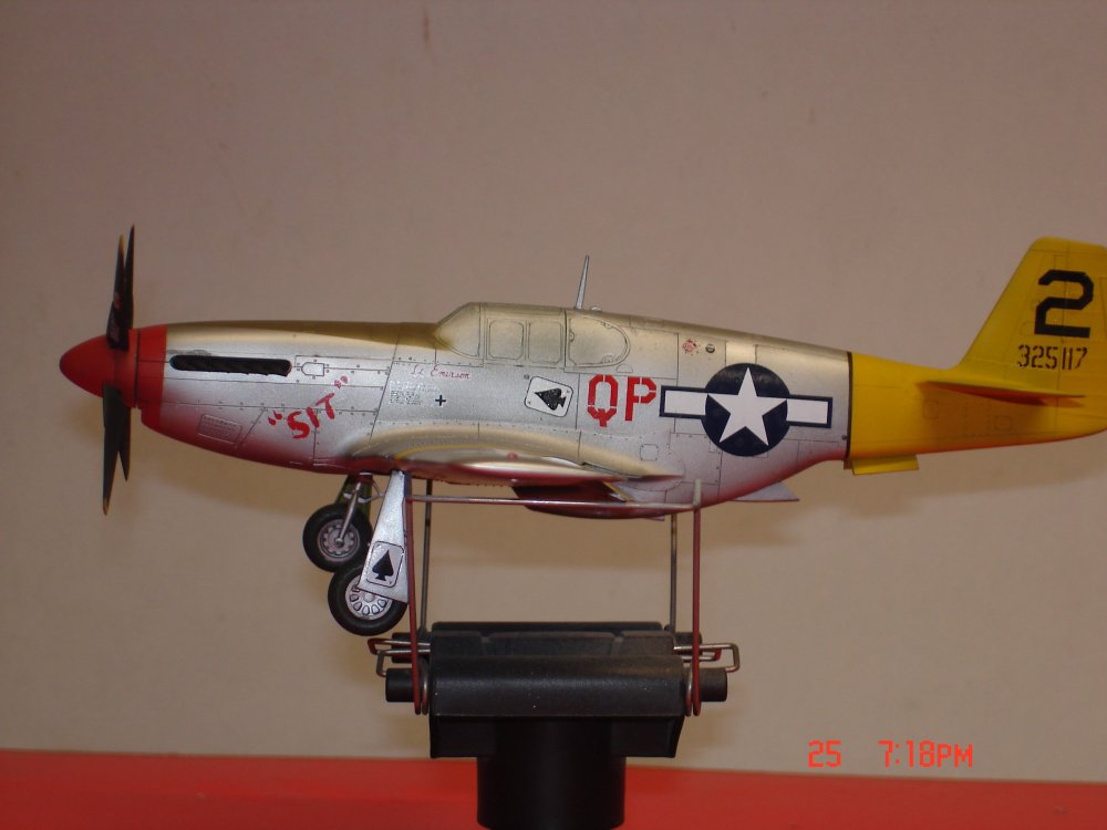 P-51 001.JPG