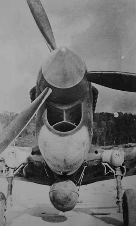 Curtiss_P-40_front_view.jpeg