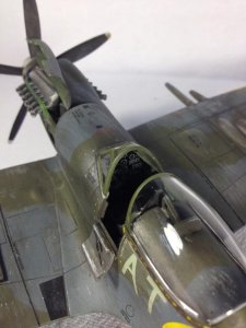 IMG_1120.jpeg