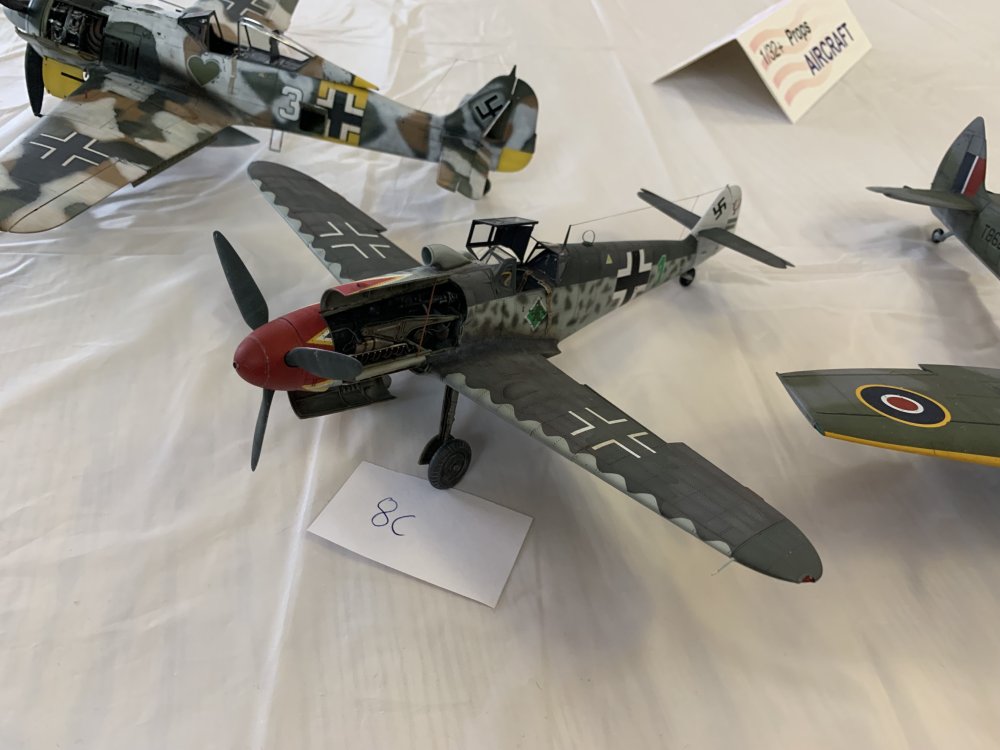 IMG_7682.jpeg