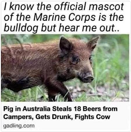 image.jpeg.21ca7f285e8ab9ec6c46e93bcd0787ea.jpeg