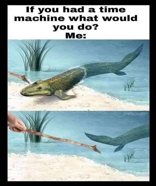 image.jpeg.2fef1cea6e355bdbfbdcf315b5b11722.jpeg
