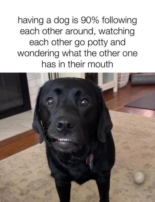 image.jpeg.404091f58c31645f970d2dcef83d7c40.jpeg