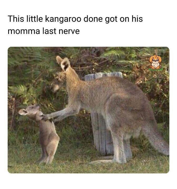 image.jpeg.65a73fe028d89468b7ef9df5494c8420.jpeg