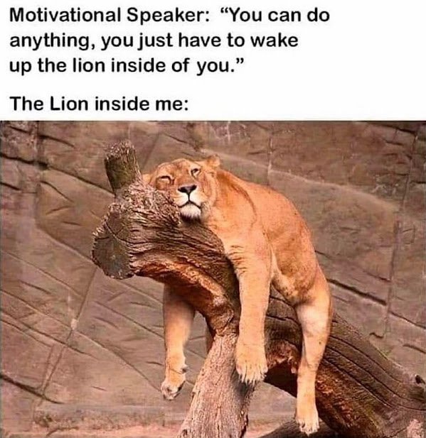 image.jpeg.9a9a5d00cfcad28e914f8b44fed106ac.jpeg