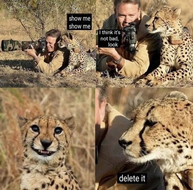 image.jpeg.c08b7ba6da7bed7b109bcda93bd61327.jpeg