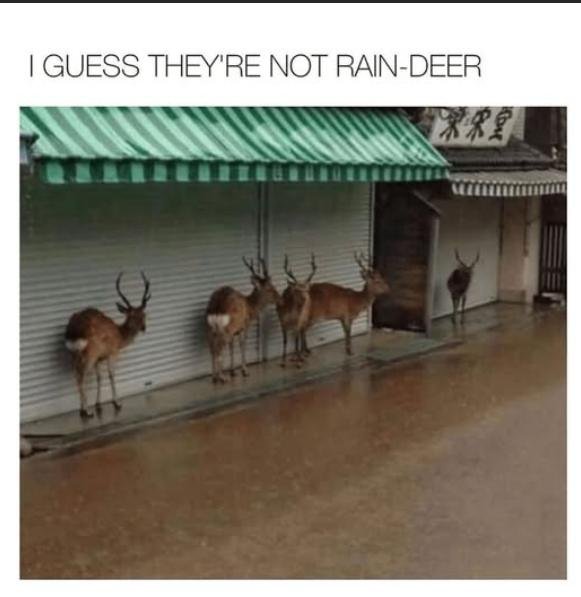 image.jpeg.c800c38b50d0c1843f2723039185180a.jpeg
