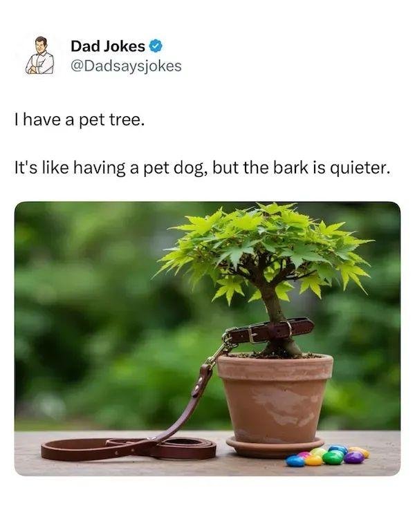 image.jpeg.d9e797e857c3725c2ee649b467983bd8.jpeg