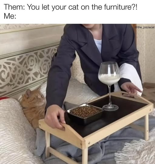 image.png.3d28c48cdd0c01c5d9313bd4b5508b64.png