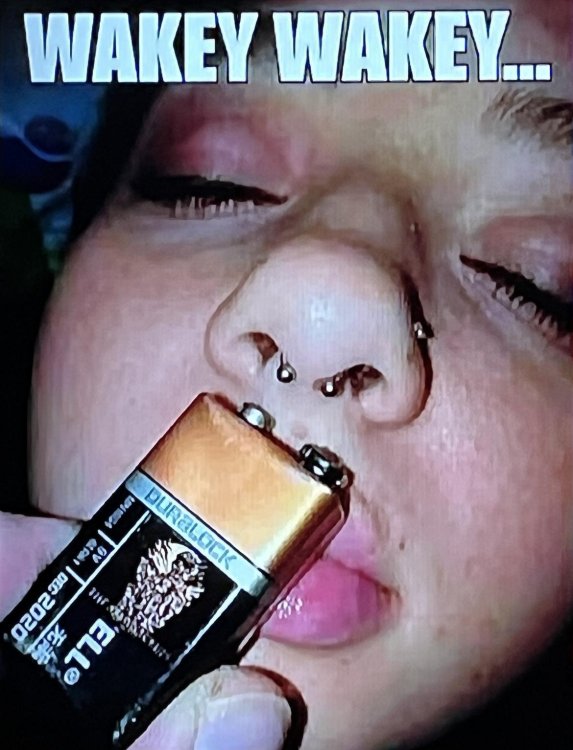 image.thumb.jpeg.035aa98c3d6ffee93a60d6db24406c29.jpeg