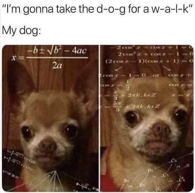 image.thumb.jpeg.0b2aaa97f18f537b80ad875eac6b4c1a.jpeg