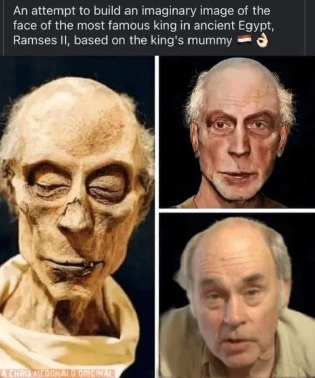 image.thumb.jpeg.1a5269790fa4ee98ca7216f06c07f7cf.jpeg