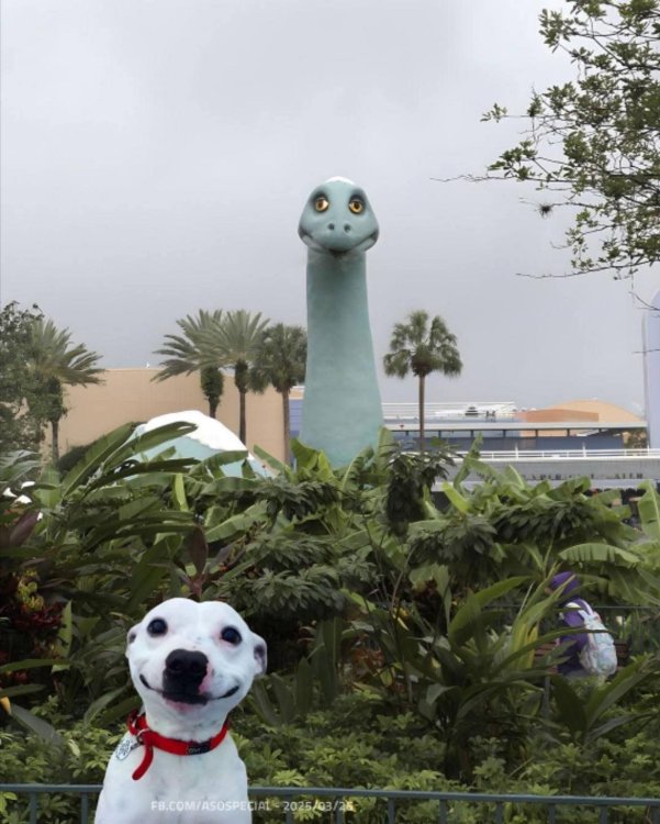 image.thumb.jpeg.2f3060259618b2ad312eb73426b0867a.jpeg
