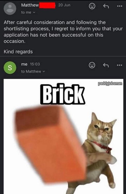 image.thumb.jpeg.376b3fa56f7205a5e39956d2f5dcef77.jpeg