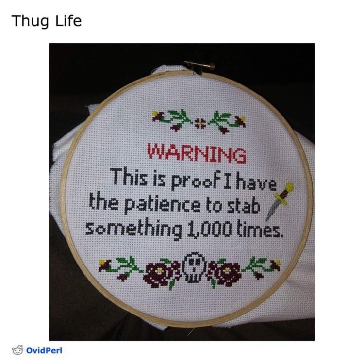image.thumb.jpeg.585a46b77d941e46a208e7d2df10f682.jpeg