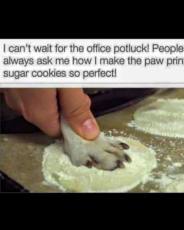 image.thumb.jpeg.700c8d036d50688eaaa80afc3b69cef6.jpeg